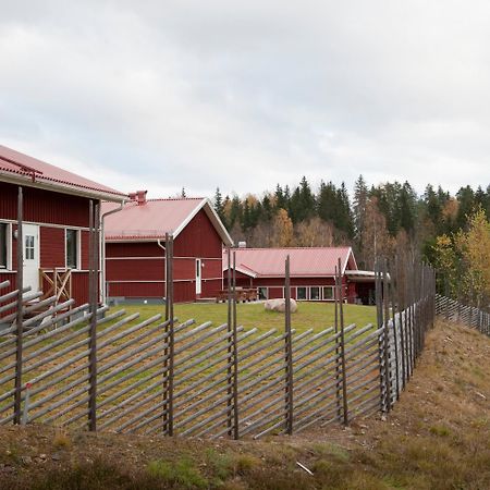 Valbergsaengen Hotell & Vandrarhem トーシュビュー エクステリア 写真